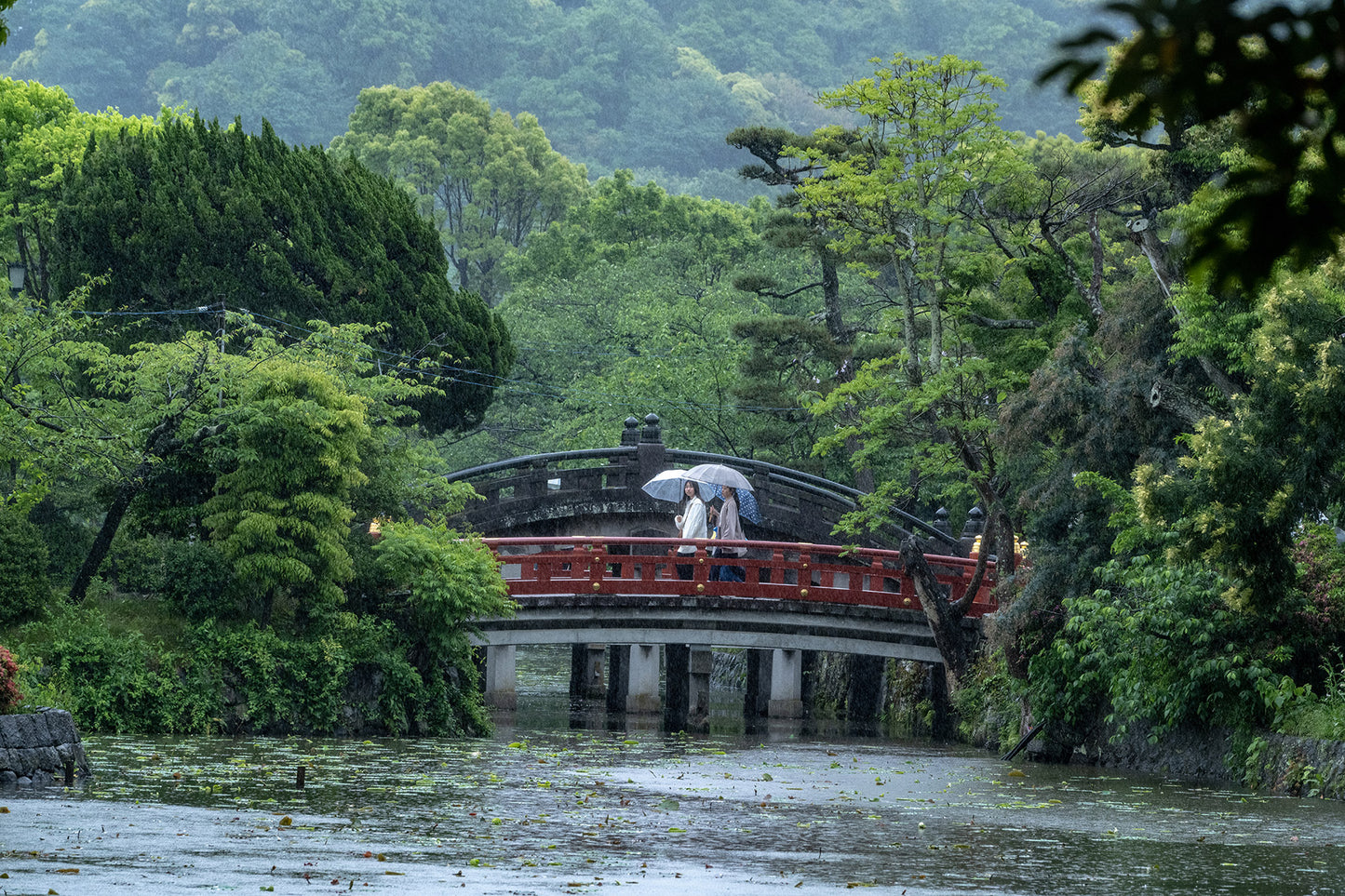 The best of Kamakura, as revealed by the seasons ~A walking photo experience with a professional photographer~