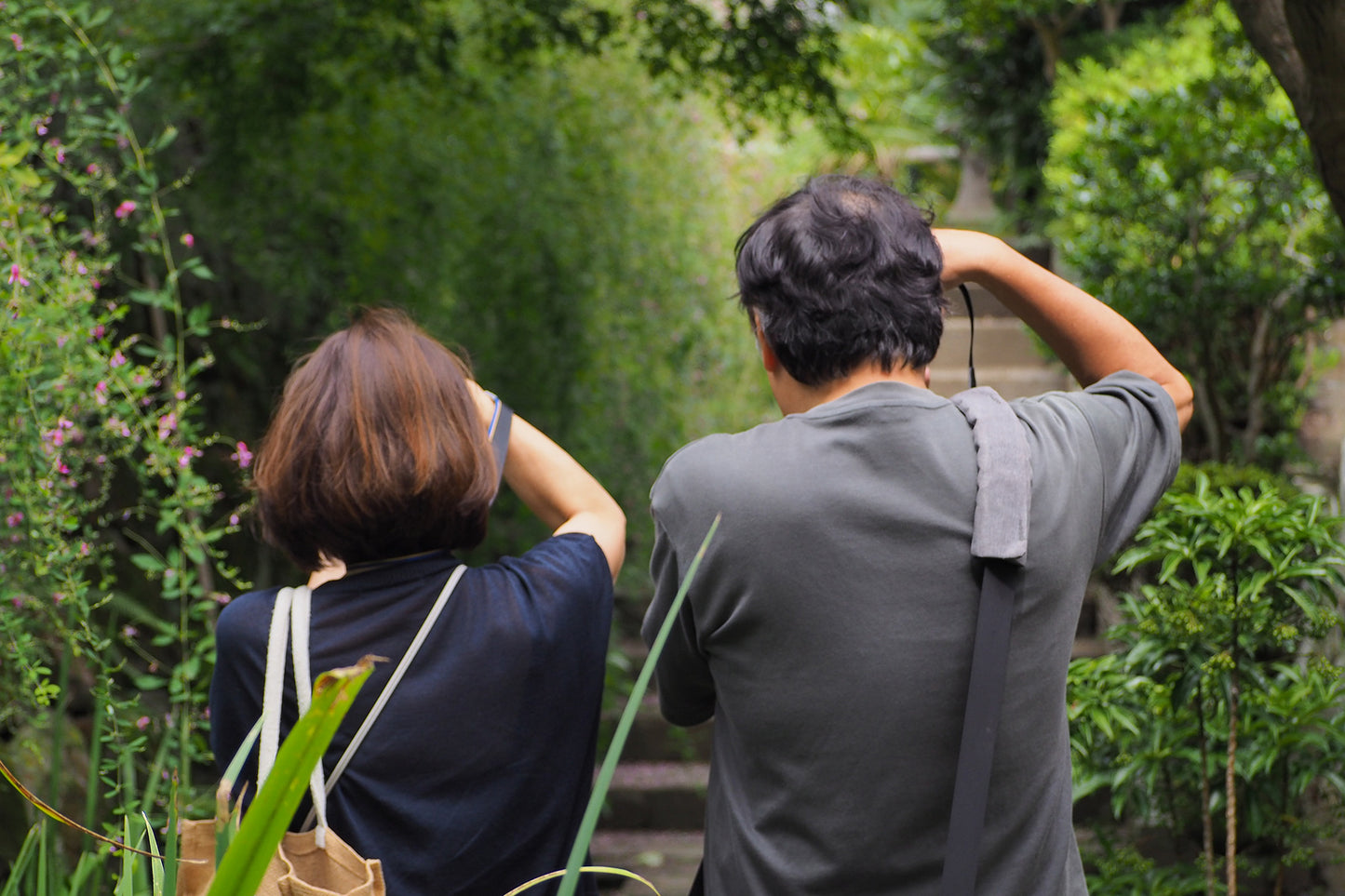 The best of Kamakura, as revealed by the seasons ~A walking photo experience with a professional photographer~