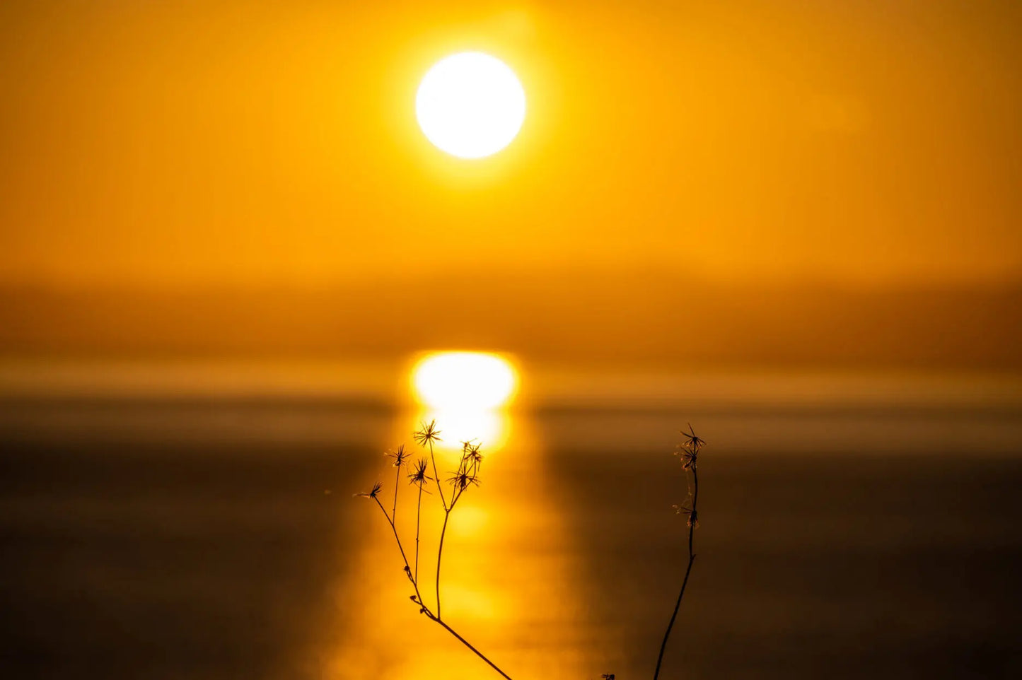The best of Kamakura, as revealed by the seasons ~A walking photo experience with a professional photographer~